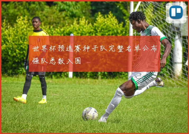 世界杯预选赛种子队完整名单公布强队悉数入围